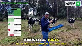 Cuánto cuesta implementar el programa, control ganadero App en sus explotación ganadera screenshot 2