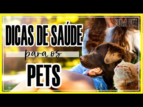 Vídeo: Cinco Dicas De Saúde Para Prolongar A Vida Do Seu Animal De Estimação