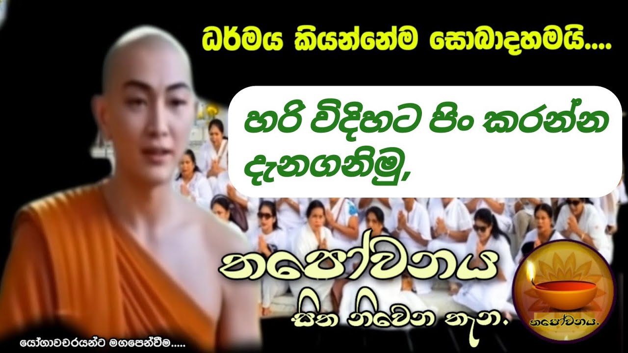 දැනගෙන පිං කර ගත්තොත් මෙලොවත් සැප විඳ නිවන් අවබෝධයෙන් සසර නිමා කළ හැක#Thapowanaya සිත නිවෙන තැන 🤔