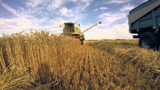 Moisson 2015