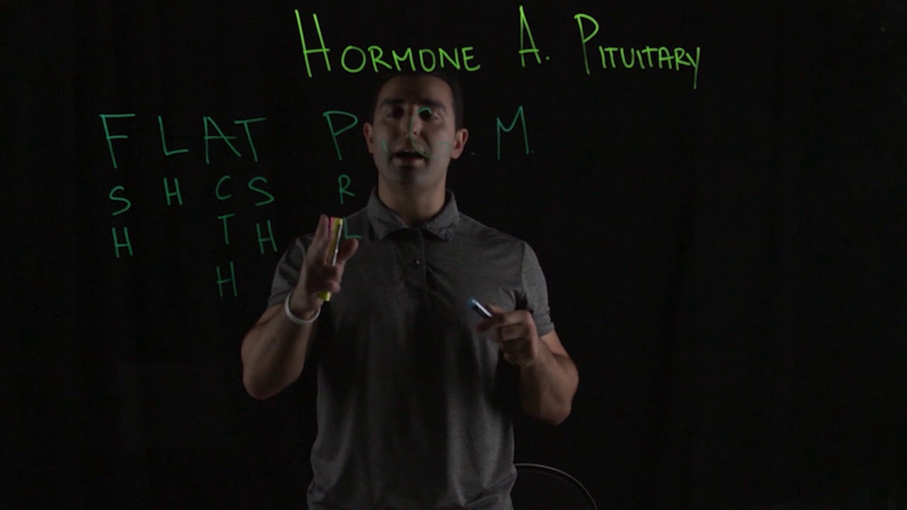 Anterior Pituitary  Hormones