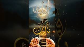 Mohemmde nbi sl allah ho tala ali he vslm slato aslam alika alaikum nbi #bishara #northwollo