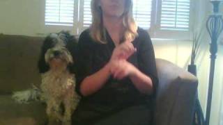 Capture_20100210.wmv