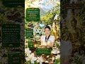 Không phải mọi thứ bạn đánh mất đều mất mát đôi khi nó là Phép buông #phongthuy #loiphatday #ai