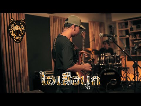 ไอเสือบุก - สนทนาไทเกอร์ (Live Session)