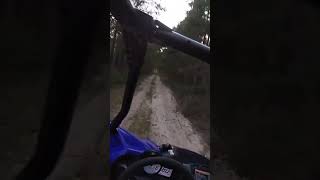 Proper break-in on the YXZ1000R #6spd #rallycar #gytr