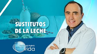 SUSTITUTOS DE LA LECHE  HACIA UN NUEVO ESTILO DE VIDA