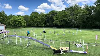 Obi EO Prep - Martin Cavill jumping course