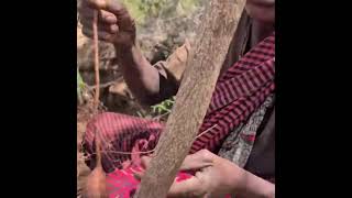 The Raw Power of a Traditional Kudu Hunt #HuntingTraditions