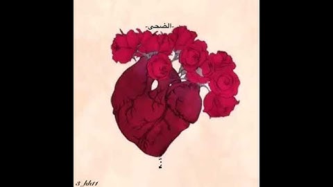 سورة الضحى " أرح سمعك " 😴💜