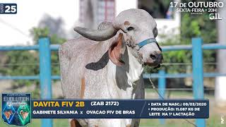 LOTE 25   ZAB 2172   DAVITA FIV 2B