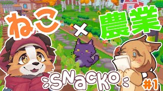 【Snacko】呪いの島でケモノとウハウハライフ！？🐾🐶【ケモノVtuber】