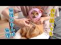 爪切り嫌いの猫の爪切りをあの手この手で頑張ります!