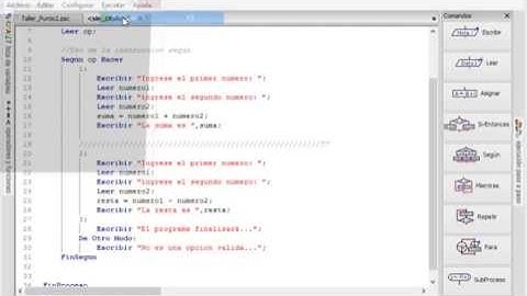 PSeint - Estructura de control Condicinal SEGÚN