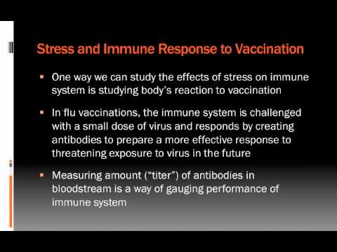 Lecture 5.2: Stress