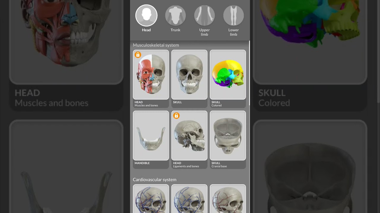 Anatomy 3d Atlas Full version purchase 1199 rs i am A medical Student