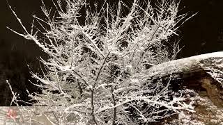 Sound of Snowfall | iPhone recorded by Tianshu