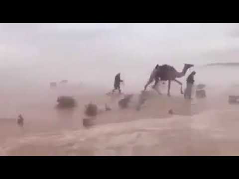رأيتك ربي في كل شيء