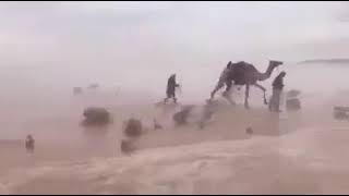 رأيتك ربي في كل شيء - حالتي