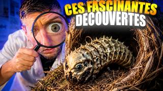 La science N’AURAIT JAMAIS DÛ trouver ça