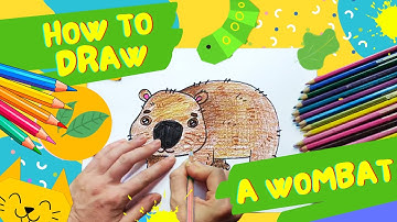 How to draw a wombat || Easy Wombat drawing || Step by step drawing