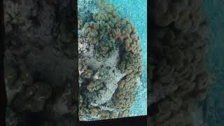 20190110(6)