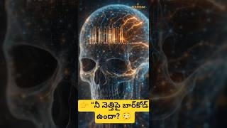 👉 “నీ నెత్తిపై బార్‌కోడ్ ఉందా? 😳 అసలు మర్మం ఇదే!” #TeluguFacts #SamudrikaShastram #IndianMysteries