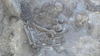 Zweitgrößtes Gräberfeld Aus Der Schnurkeramik In Bayern Freigelegt