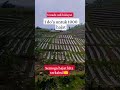 1 do'a untuk 1000 hajat