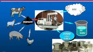 Environment-Enhancing Energy - Third Generation Biofuel