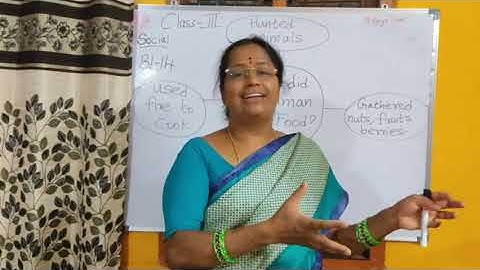 class 3 block 14 social studies