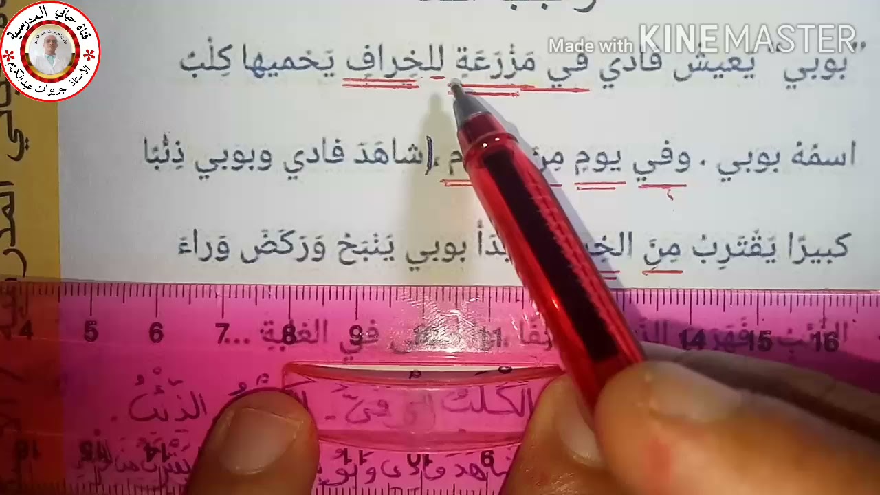 حل واجب اللغة  الكلب بوبي للسنة الثالثة