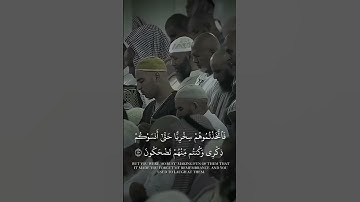 القرآن الكريم بصوت الشيخ سعود الشريم #اكسبلور #المصحف #الرحمن #لايك