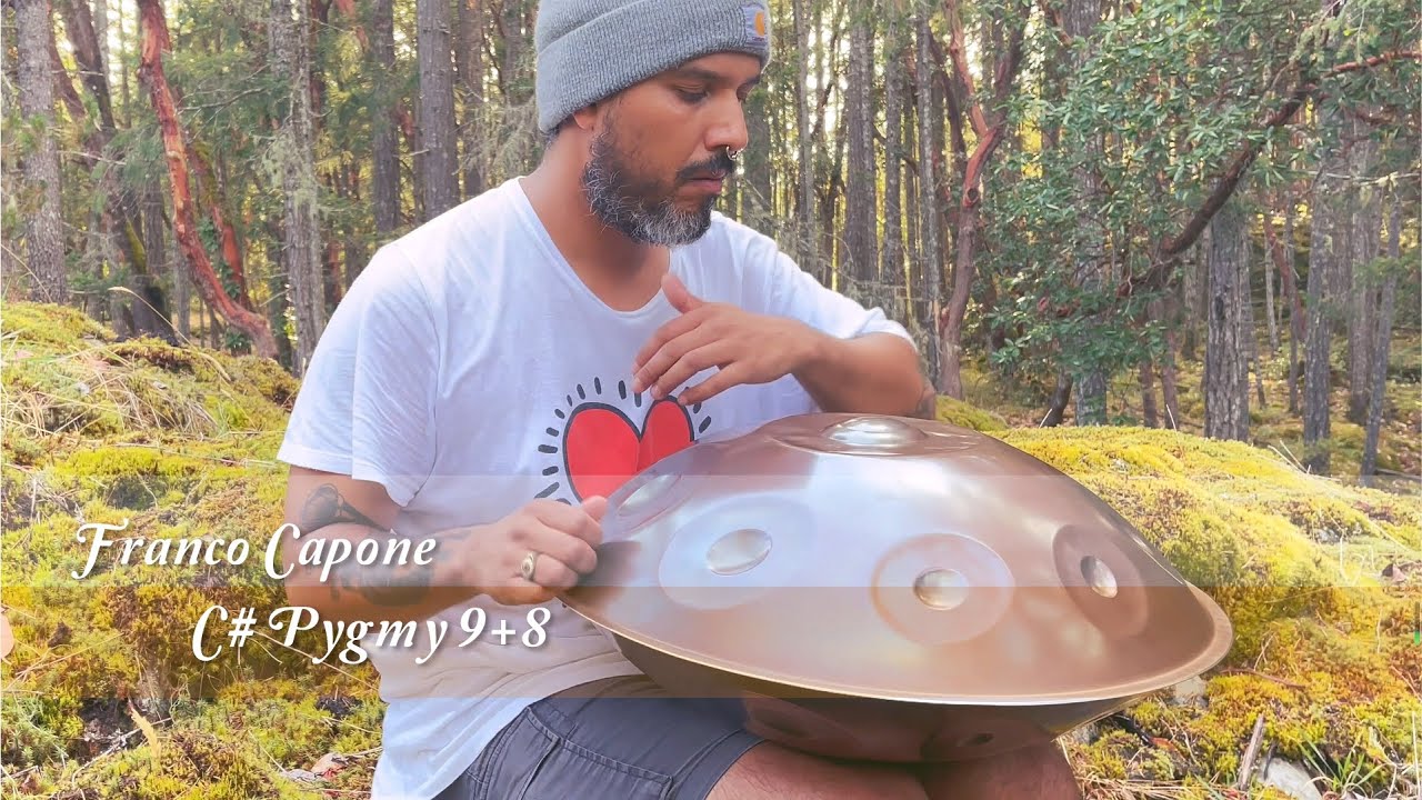 MrPans handpan - C# Pygmy 9+8 - Franco Capone