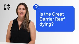 Marine biologist answers questions about coral reefs and climate change | Curiosities | UTS