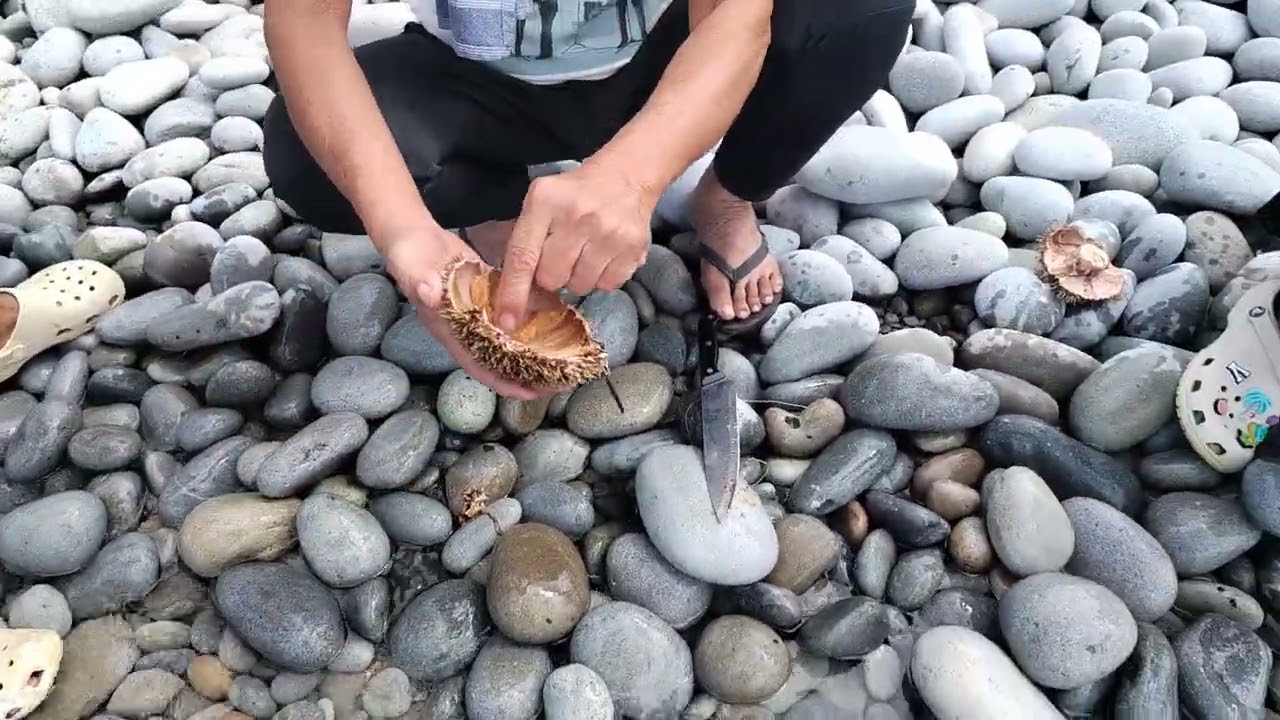 Life's a Beach 🏖️