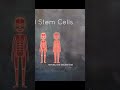 Pt. 2 What Are Stem Cells? | MSCs A Cell Type Revolution (Pt. 1) #choosehope #hopeishere