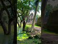 PHREAH KHAN temple #foryou #travel #nature #ancienttemple