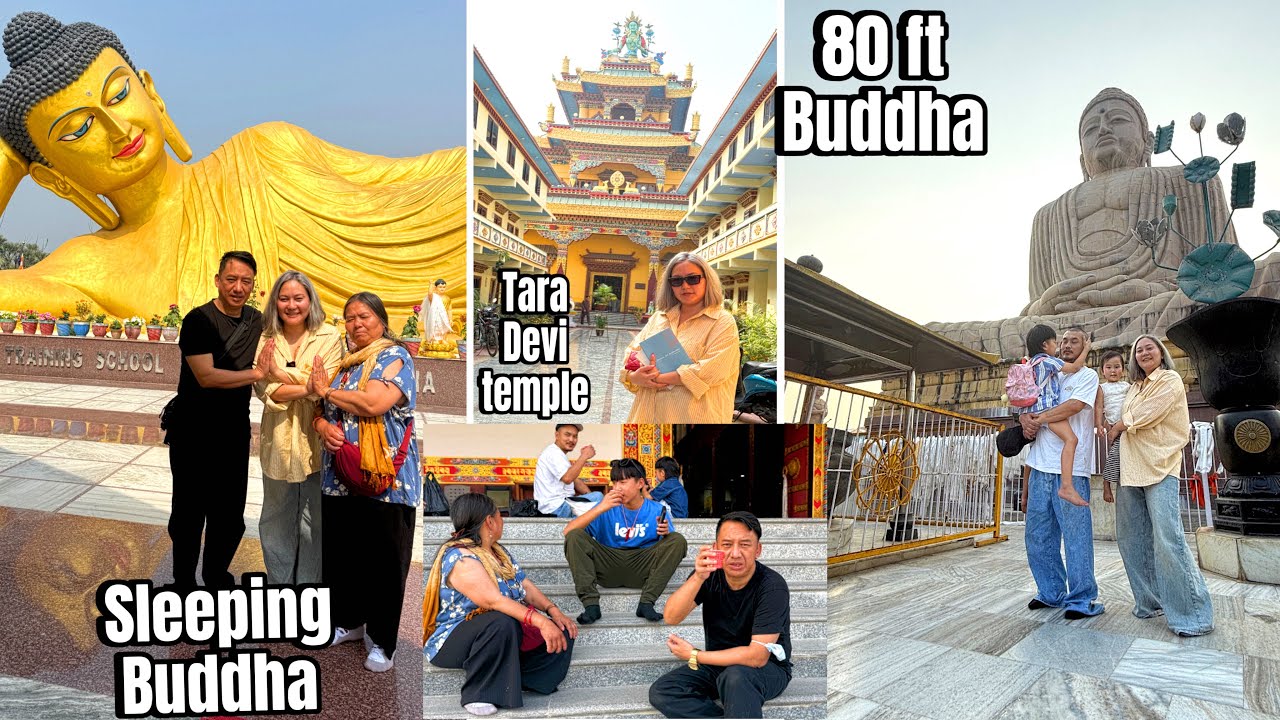 A Blessed Pilgrimage: 80ft  Buddha, Sacred Monasteries & Tara Devi Temple! 🙏✨ 