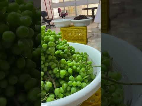 کاش مامانم بدونه آبغوره آماده هم میتونه بخره مامان شماهم اینطوریه خسته شدم آبغوره 