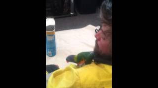 Buddy My Lorikeet Likes Pringles...?