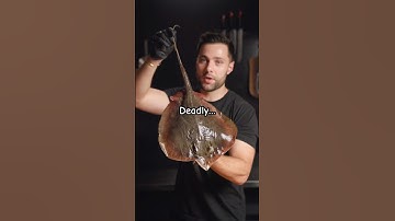 Fire Grilled Stingray