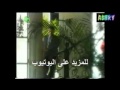 احمد الصادق خطبتها احمد الصادق خطبتها