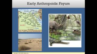 Module 09 Lecture