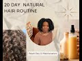 Weeks in my Natural Hair | Shampoo & Maintenance