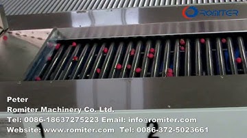 Automatic Radish Grader Radish Sorting Machine-Romiter Machinery