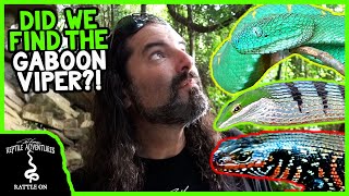 SEARCHING FOR THE BIGGEST, DEADLIEST SNAKE IN AFRICA!