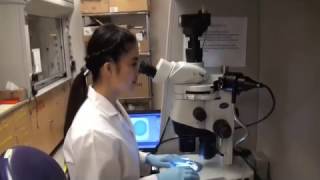 IFER Graduate Fellowship Recipient Jean Liou