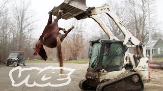 アメリカで広がる違法珍獣売買の実態