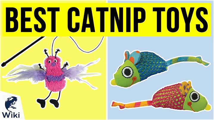 10 Best Catnip Toys 2020